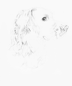 Tia stage1